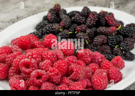 Piastra con lamponi e Mulberry. Frutti di bosco freschi sulla piastra vicino. Foto Stock