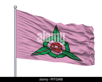 Hsinchu City bandiera sul pennone, Cina, isolati su sfondo bianco Foto Stock