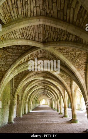 Fountains Abbey a Ripon, North Yorkshire.