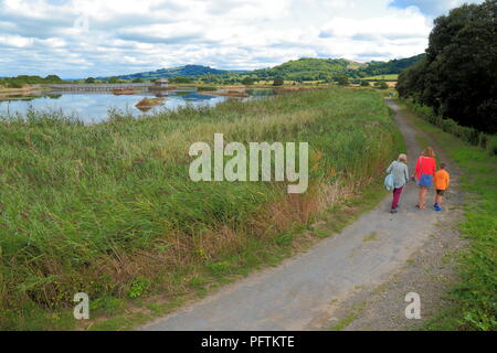 Buco nero Marsh parte di Seaton zone umide nella Riserva Naturale del East Devon Foto Stock