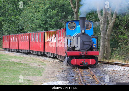Blu di un treno a vapore su Kirklees Light Railway a Clayton West, nel West Yorkshire Foto Stock