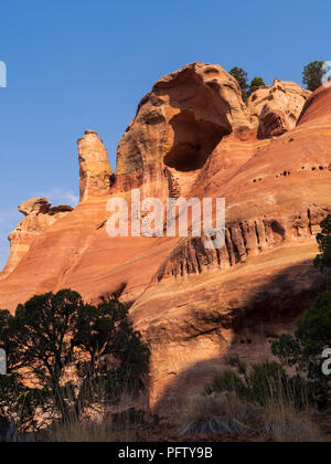 Le pareti del canyon Rattlesnake, cresta nera area selvaggia, McInnis Canyon National Conservation Area, Grand Junction, Colorado. Foto Stock