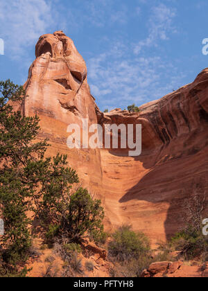 Le pareti del canyon Rattlesnake, cresta nera area selvaggia, McInnis Canyon National Conservation Area, Grand Junction, Colorado. Foto Stock