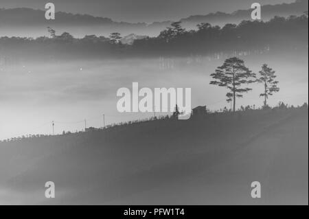 Giganti del cielo e delle nubi del paesaggio con la nebbia all'alba, gli orari di alba e tramonto. pineta nella nebbia con sunray, sunshine Foto Stock