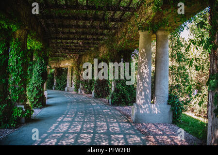 All'interno del parco Pergola a Wroclaw in Polonia Foto Stock