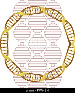 Dna circolare a catena icona della scienza Illustrazione Vettoriale