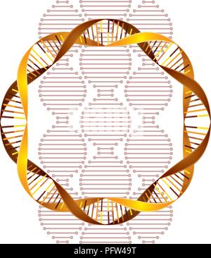 Dna circolare a catena icona della scienza Illustrazione Vettoriale