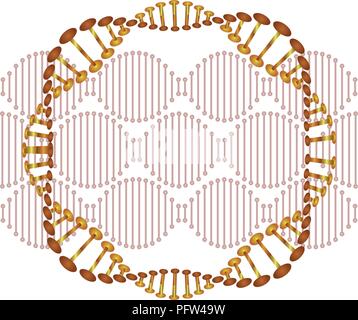 Dna circolare a catena icona della scienza Illustrazione Vettoriale