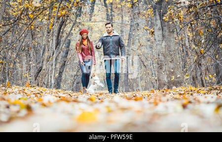 Coppia giovane a piedi con il loro cane in un colorato foresta di autunno Foto Stock