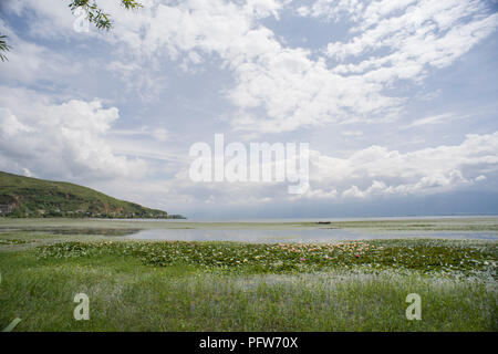 Zona umida al Lago Erhai, Dali, Cina Foto Stock