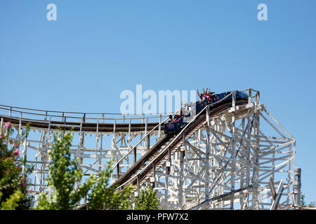Il Selvaggio roller coaster al Six Flags America parco divertimenti in alto Marlboro, Maryland. Foto Stock