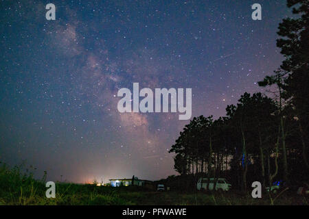 Camp forrest con la Via Lattea di notte Foto Stock