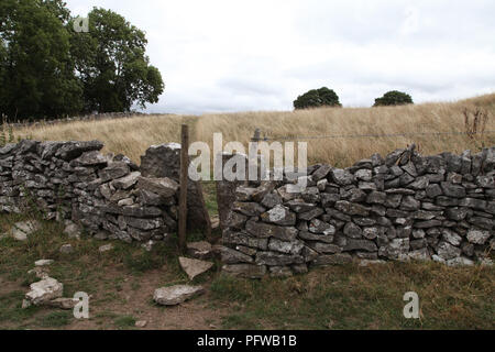 Stile in un secco muro di pietra Foto Stock