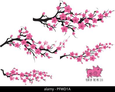 Giappone cherry blossom struttura di ramificazione. Invito giapponese card con asian fioritura prugna filiale. Anno del maiale Illustrazione Vettoriale