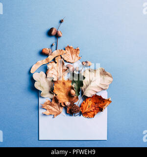 Foglie secche in busta blu su sfondo rosa. Concetto di autunno card. Foto Stock