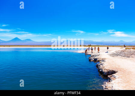 ATACAMA, Cile - 17 gennaio 2018: il paesaggio nel deserto di Atacama e Salt Lake. Copia spazio per il testo Foto Stock