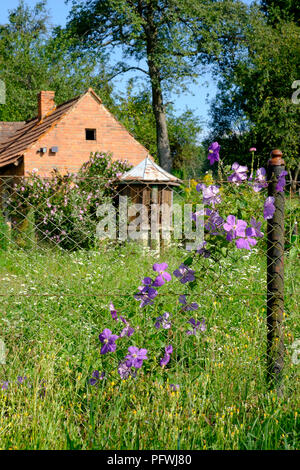 Acqua bene davanti alla cucina estiva dipendenza nel villaggio rurale house garden Zala county Ungheria Foto Stock