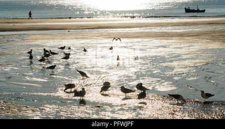 Cornwall St Ives Harbour looking out to sea at low tide Foto Stock