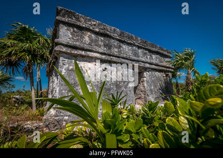 Rovine maya tra vegetazione tropicale, Fatima Bay, Puerto Aventuras, Quintanna Roo Mexico. Foto Stock