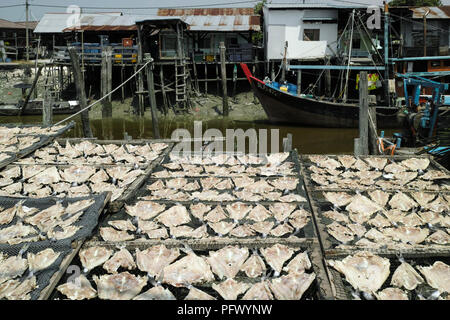 Piatti a base di frutti di mare freschi e di prodotti a base di pesce. Sekinchan villaggio di pescatori, la Malaysia peninsulare. Foto Stock