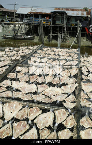 Piatti a base di frutti di mare freschi e di prodotti a base di pesce. Sekinchan villaggio di pescatori, la Malaysia peninsulare. Foto Stock