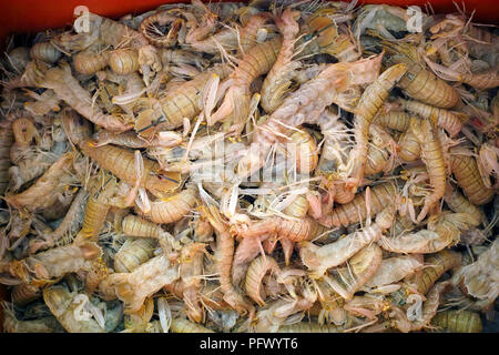 Piatti a base di frutti di mare freschi e di prodotti a base di pesce. Sekinchan villaggio di pescatori, la Malaysia peninsulare. Foto Stock