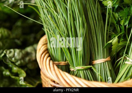 Organico fresco verde erba cipollina per la vendita su un mercato Foto Stock