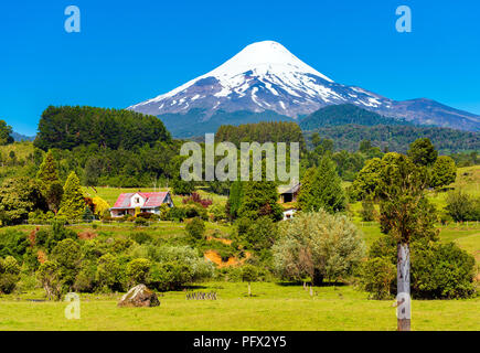 Vulcano Osorno nel parco nazionale Vicente Perez Rosales, Cile. Copia spazio per il testo Foto Stock