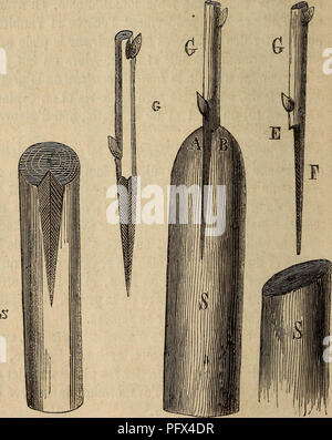 . Cultura des arbres fruitiers aÌ tout vent. Frutti-coltura. .Â 102 â sujet S en enlevant une parte d'Ã©corce et de bois : il en rÃ©sulte une cavitÃ© telle que la greffe G, taillÃ©e en coin triangulaire, puisse la remplir exactement en ayant soin de mettre toujours en riguardo les libers et les aubiers de la greffe et du sujet.. Fig."28. Fig. 29. Greffe Ã la Pontoise. Greffe en couronne perfectionnÃ©e. Ces greffes conviennent aux arbres frutti ã ã pe-. Si prega di notare che queste immagini vengono estratte dalla pagina sottoposta a scansione di immagini che possono essere state migliorate digitalmente per la leggibilità - colorazione e Foto Stock
