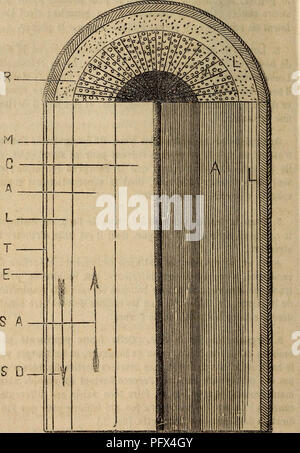 . Cultura des arbres fruitiers aÌ tout vent. Frutti-coltura. Â 32 â divani distinctes, de plus en plus foncÃ©es et dures, Ã mesure qu'on se rapproche de la moelle; chaque couche reprÃ©sente le. Fig. 2. Â Organizzazione de la tige. produit de un vÃ©gÃ©tazione d'une annÃ©e, et leur nombre, assez facile Ã compter, peut servir à dÃ©terminer l'Ã¢ge de l'arbre.. Si prega di notare che queste immagini vengono estratte dalla pagina sottoposta a scansione di immagini che possono essere state migliorate digitalmente per la leggibilità - Colorazione e aspetto di queste illustrazioni potrebbero non perfettamente assomigliano al lavoro originale. Issartier, Henri b. 181 Foto Stock