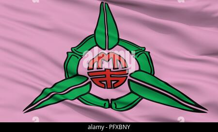 Hsinchu City Bandiera, Cina, Primo Piano Foto Stock