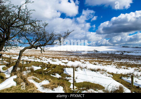 Divis e Black Mountain a piedi Belfast colline coperte di neve la fiducia della nazione Belfast Irlanda del Nord Foto Stock