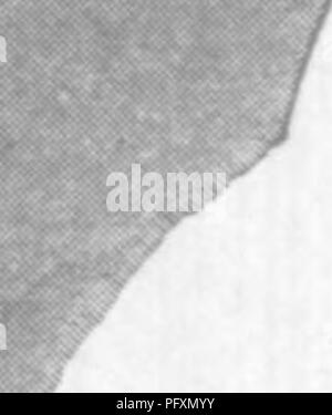 . Gasteropoda cefalopodi e di Raritan argille e marne greensand del New Jersey. Gastropoda, fossile; Cefalopodi, fossile; Paleontologia. f /. Si prega di notare che queste immagini vengono estratte dalla pagina sottoposta a scansione di immagini che possono essere state migliorate digitalmente per la leggibilità - Colorazione e aspetto di queste illustrazioni potrebbero non perfettamente assomigliano al lavoro originale. Whitfield, Robert Parr, 1828-1910; New Jersey Geological Survey. [Relazione sulla paleontologia]. Trenton, J. L. Murphy Pub. Co. Foto Stock