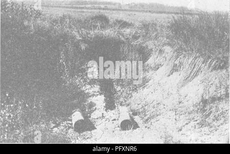 . Terreni produttivi; le basi del successo di gestione del suolo e proficua produzione di raccolto. Suoli. Piastrella combinato con una superficie-RUN 123 è il modo migliore e meno costoso per scaricare con piastrelle di con open fossati ogniqualvolta possibile. Con poche eccezioni, una fossa aperta inferiore a sei piedi profondo, tre piedi largo al fondo e quindici. Fig. 57.-Le due uscite protette per il sistema di drenaggio su questa palude di 125 acri di due tubi di acciaio schermato da tondini di ferro. ifv^-rw. Si prega di notare che queste immagini vengono estratte dalla pagina sottoposta a scansione di immagini che possono essere state migliorate digitalmente per la leggibilità - Foto Stock