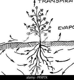 . La natura e le proprietà dei suoli; un collegio testo di edafologia. Suoli. KVA PORATI A. Si prega di notare che queste immagini vengono estratte dalla pagina sottoposta a scansione di immagini che possono essere state migliorate digitalmente per la leggibilità - Colorazione e aspetto di queste illustrazioni potrebbero non perfettamente assomigliano al lavoro originale. Lione, T. L. (Thomas Lyttleton), 1869-1938; Buckman, Harry Oliver, 1883-. New York, Macmillan Foto Stock