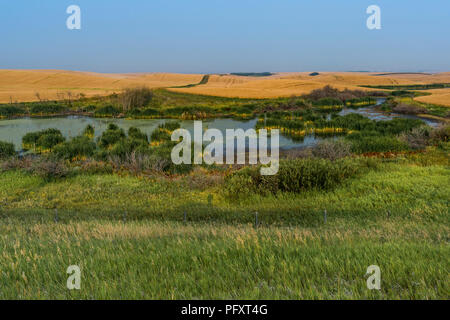 Prairie buca, Starland County, Alberta, Canada. Foto Stock