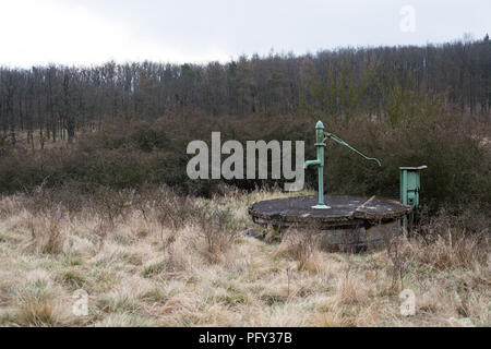 La vecchia pompa con foresta sfrondato, penuria d acqua scarsità concept Foto Stock