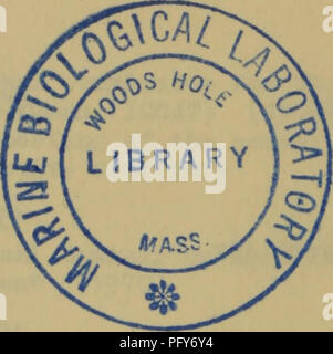 . Bibliografia corrente per scienze acquatiche e pesca. Biologia marina; biologia acquatica; pesca. *. Si prega di notare che queste immagini vengono estratte dalla pagina sottoposta a scansione di immagini che possono essere state migliorate digitalmente per la leggibilità - Colorazione e aspetto di queste illustrazioni potrebbero non perfettamente assomigliano al lavoro originale. Cibo ed Organizzazione di Agricoltura delle Nazioni Unite. Le risorse alieutiche e lo sfruttamento di divisione. Dati biologici Sezione; Cibo ed Organizzazione di Agricoltura delle Nazioni Unite. Divisione della pesca. Ramo di biologia. Londra, Taylor &AMP; Francesco ltd Foto Stock