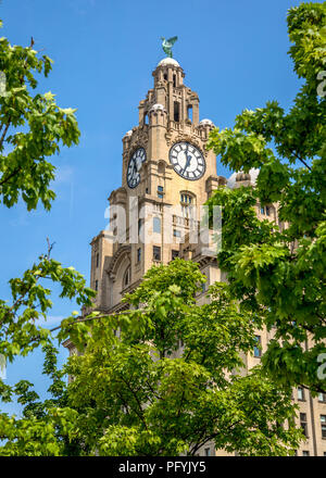 Il Royal Liver Building sorge sopra la città di Liverpool skyline con esso dominante della torre dell'orologio. Foto Stock