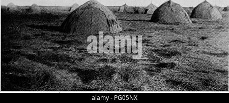 Questo resoconto descrive in dettaglio la spedizione Alexander-Gosling attraverso l'Africa dal Niger al Nilo. La squadra affrontò delle sfide lungo i corsi d'acqua e le paludi, documentando l'ambiente e le difficoltà causate dai venti harmattan durante il viaggio. Foto Stock