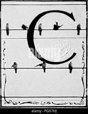 . Bird Studies con una telecamera : con capitoli introduttivi sul vestito e metodi del fotografo di uccelli . Gli uccelli e la fotografia di uccelli. Dove rondini ROOST ONTRIBUTING poco del ma- terial la ricchezza della nazione, Hackensack paludi del nord- ern New Jersey sono di solito re- garded come " rifiuti terra." da parte dell'agricoltore che essi sono denominati " sale medders" e loro sventolare le erbe sono di valore a lui solo come biancheria da letto "" per il bestiame. In inverno il topo muschiato hunter raccoglie un har- gilet di pellicce ci. Il down del "gatto-tail" viene raccolto per imbottitura cuscino, e Foto Stock