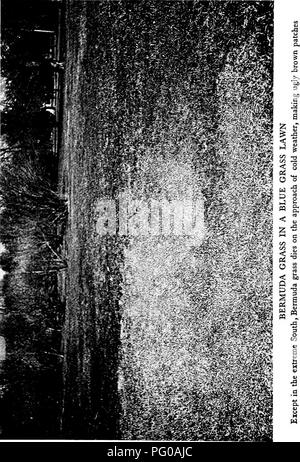 . Prati e come farli : insieme con la corretta tenuta del putting green . Prati. s &gt;&LT; &lt; -I a. Si prega di notare che queste immagini vengono estratte dalla pagina sottoposta a scansione di immagini che possono essere state migliorate digitalmente per la leggibilità - Colorazione e aspetto di queste illustrazioni potrebbero non perfettamente assomigliano al lavoro originale. Barron, Leonard, 1868-1938. Città Giardino, N. Y. : Doubleday, pagina &AMP; Co. Foto Stock