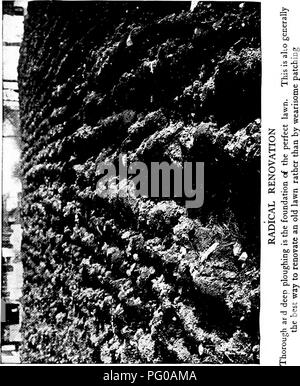 . Prati e come farli : insieme con la corretta tenuta del putting green . Prati. . Si prega di notare che queste immagini vengono estratte dalla pagina sottoposta a scansione di immagini che possono essere state migliorate digitalmente per la leggibilità - Colorazione e aspetto di queste illustrazioni potrebbero non perfettamente assomigliano al lavoro originale. Barron, Leonard, 1868-1938. Città Giardino, N. Y. : Doubleday, pagina &AMP; Co. Foto Stock