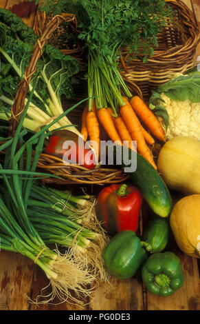 Raccolto un assortimento di verdure fresche sul tavolo di legno (cipolline, cavolfiore, carote, peperoni rossi, cetriolo e spinaci. Foto Stock