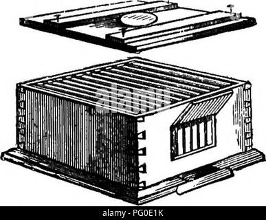 . Il miele-bee; la sua natura, le case e i prodotti. Le api. Alveari. È7 da Tegetmeier, in i860. Il sig. Woodbury, per cui il riferimento è stato già fatto più di una volta, successivamente portato fuori il telaio-hive che ha incontrato. Fig. 48.-L'Alveare Woodbury. con il primo generale accettazione da parte apiarians in questo paese. Come originariamente costituito, esso consisteva in una scatola di legno, pollici quadrati sul lato interno e 9 cm di profondità. Fig.'49.-^Woodbury Bak-Frame paglia. Hive. I telai erano in numero di dieci, ogni 13 cm di lunghezza da 7J pollici ad alta. Le estremità sporgenti, e montato in tacche nella parte posteriore e anteriore; ma questo disponi- Foto Stock
