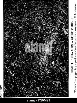 . Prati e come farli : insieme con la corretta tenuta del putting green . Prati. . Si prega di notare che queste immagini vengono estratte dalla pagina sottoposta a scansione di immagini che possono essere state migliorate digitalmente per la leggibilità - Colorazione e aspetto di queste illustrazioni potrebbero non perfettamente assomigliano al lavoro originale. Barron, Leonard, 1868-1938. Città Giardino, N. Y. : Doubleday, pagina &AMP; Co. Foto Stock