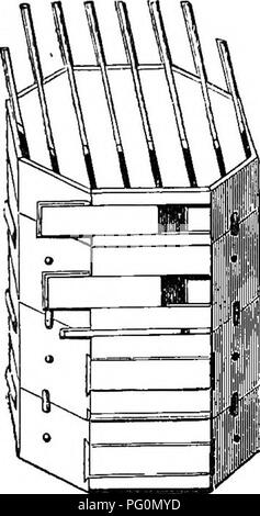 . Il miele-bee; la sua natura, le case e i prodotti. Le api. Alveari. i6s e coperto in modo sicuro. La figura rappresenta il modo in cui le slitte shift. La casella superiore D è quella in cui il miele per essere preso dai bee-master è memorizzata. Si tratta di quattro pollici di profondità, le sue altre dimensioni che sono simili a quelli delle scatole al di sotto di esso. È arredato con solo sette o otto, invece di nove bar, allo scopo di indurre le api per la creazione di più celle per depositare il miele a. Questo non solo assicura. Fig. 57.-Norwich alveare. una maggiore quantità per meno spese di cera, ma impedisce la regina la deposizione delle uova Foto Stock