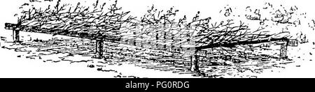 Questo libro fornisce un'introduzione di base alla coltura vegetale, concentrandosi sull'effetto della luce sulla crescita delle piante. Esso copre le tecniche di ombreggiatura per proteggere le piante teneri dalla luce solare eccessiva, che è fondamentale per la coltivazione di piantine e talee in ambienti vivaistici. Foto Stock