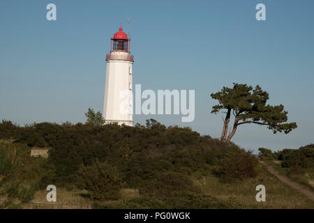 Faro di Dornbusch che è la più alta collina su cui Hiddensee è un'isola nel mar Baltico a ovest della Germania la più grande isola Rügen. Foto Stock