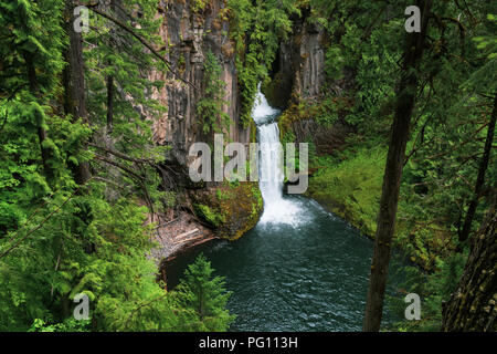 Affacciato sulla vista del Toketee cade nel nord Umpqua National Forest, Oregon, Stati Uniti d'America. Foto Stock